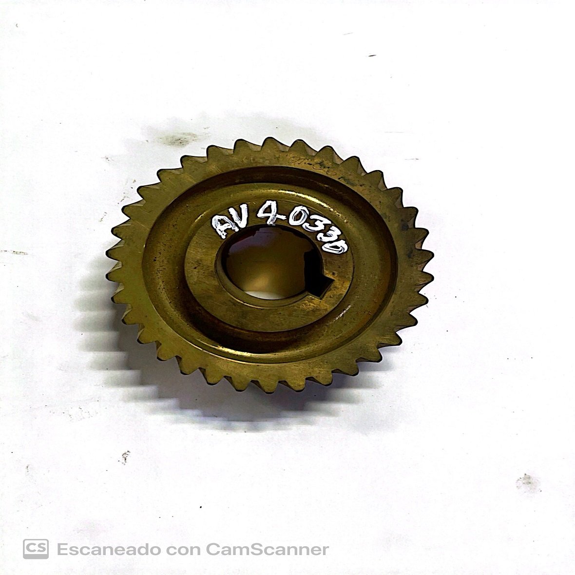 Worm gear / gobernador